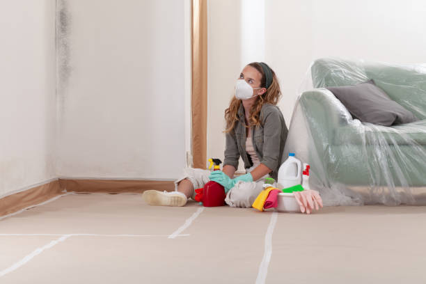 Reliable Mold Remediation contractor in Stanwood, MI by WQB Mold Removal